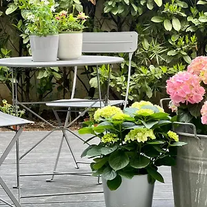 Bed & Breakfast Loft G Hospitality Italia